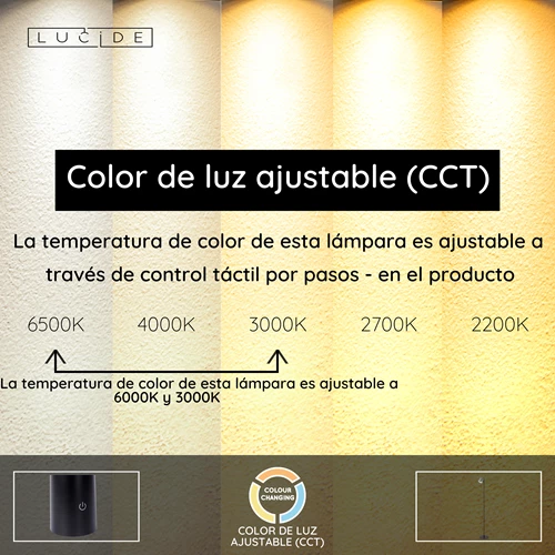Lucide SKANSKA RECH - Lámpara de suelo Recargable Dentro/Fuera - Batería/acumulador - Ø 23 cm - LED Regul. - CCT - 1x3W 3000K/6000K - IP44 - Hierro gris - USP